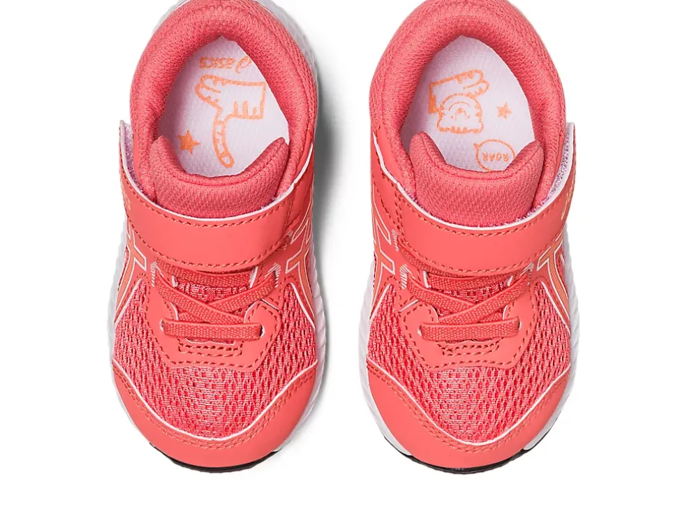 Shop ASICS CONTEND 8 TODDLER SIZE Papaya/Summer Dune