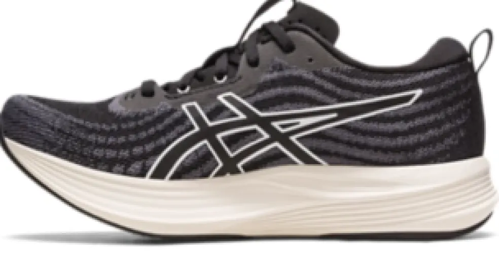 New ASICS EvoRide SPEED WIDE Black/White
