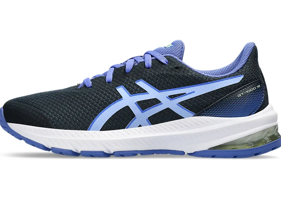 Flash Sale ASICS GT-1000 12 GRADE SCHOOL French Blue/Light Sapphire