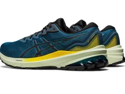 Online ASICS GT-1000 11 TR NATURE BATHING Nature Bathing/Golden Yellow
