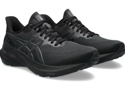Best ASICS GT-2000 12 WIDE Black/Black