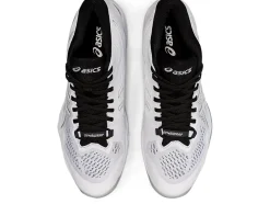 Sale ASICS SKY ELITE FF MT 2 White/Pure Silver